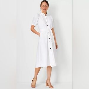 NWT Ann Taylor Elegant Blue Button-Up Dress